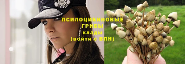 а пвп мука Нягань