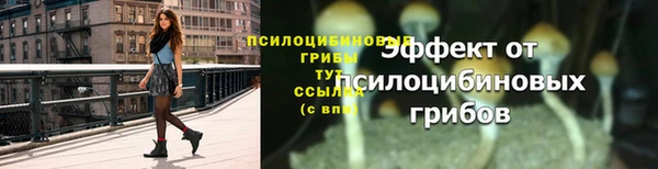 гидропоника Нязепетровск