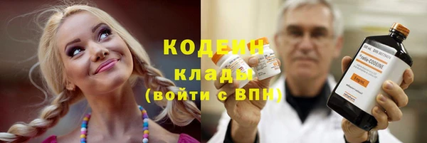 ПСИЛОЦИБИНОВЫЕ ГРИБЫ Осинники