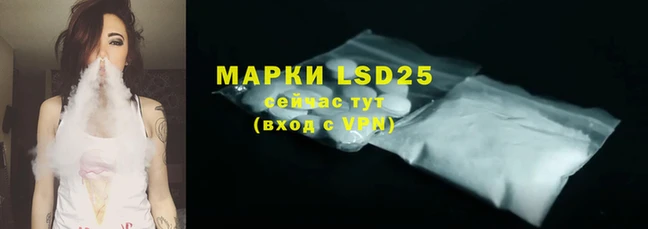 ПСИЛОЦИБИНОВЫЕ ГРИБЫ Осинники