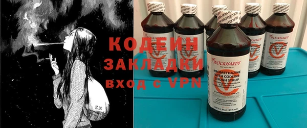 ПСИЛОЦИБИНОВЫЕ ГРИБЫ Осинники