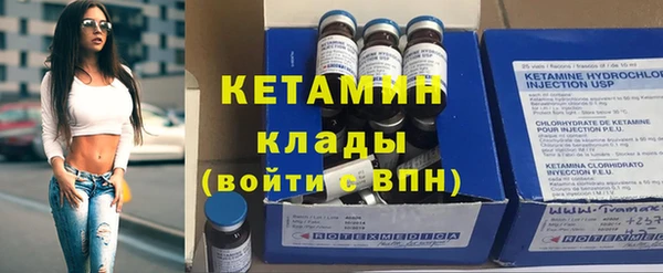 ПСИЛОЦИБИНОВЫЕ ГРИБЫ Осинники