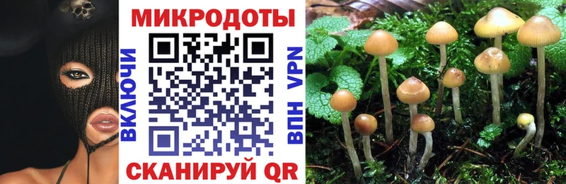 дарк нет телеграм Бугуруслан Псилоцибиновые грибы Psilocybine cubensis