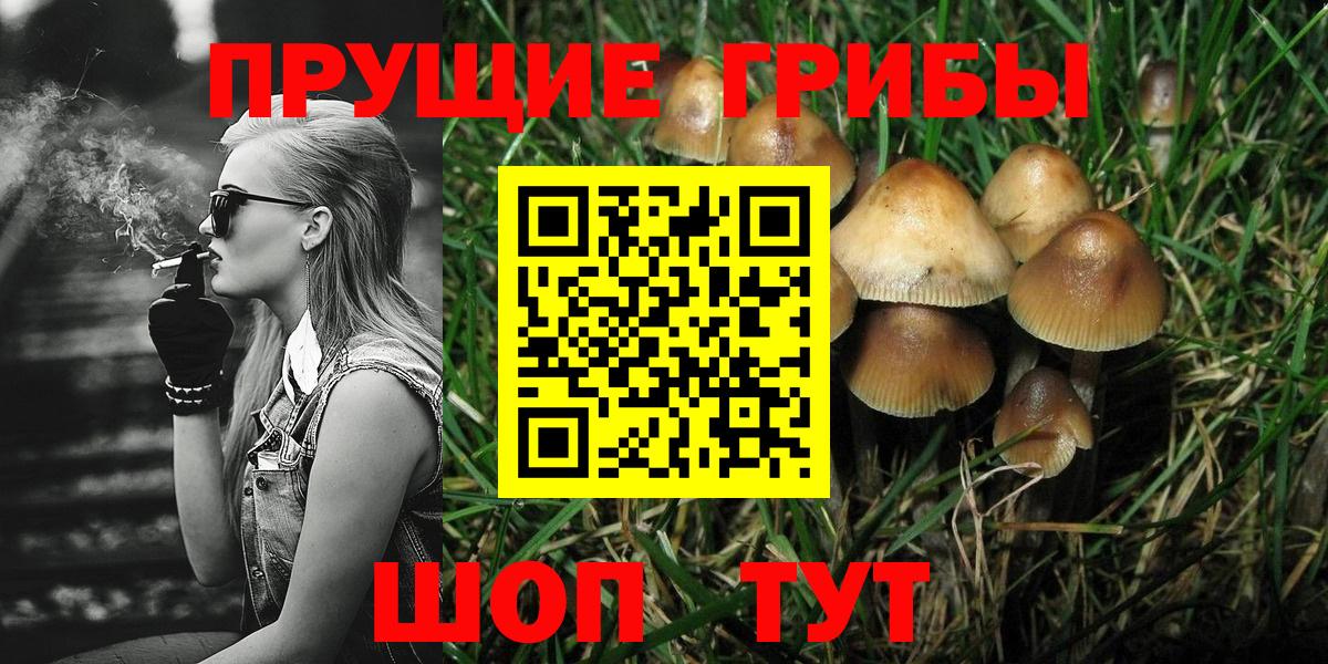 Псилоцибиновые грибы Magic Shrooms Бугуруслан